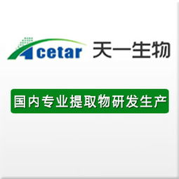 企業互聯新橋梁 黃頁、名錄與八方資源網的協同效應